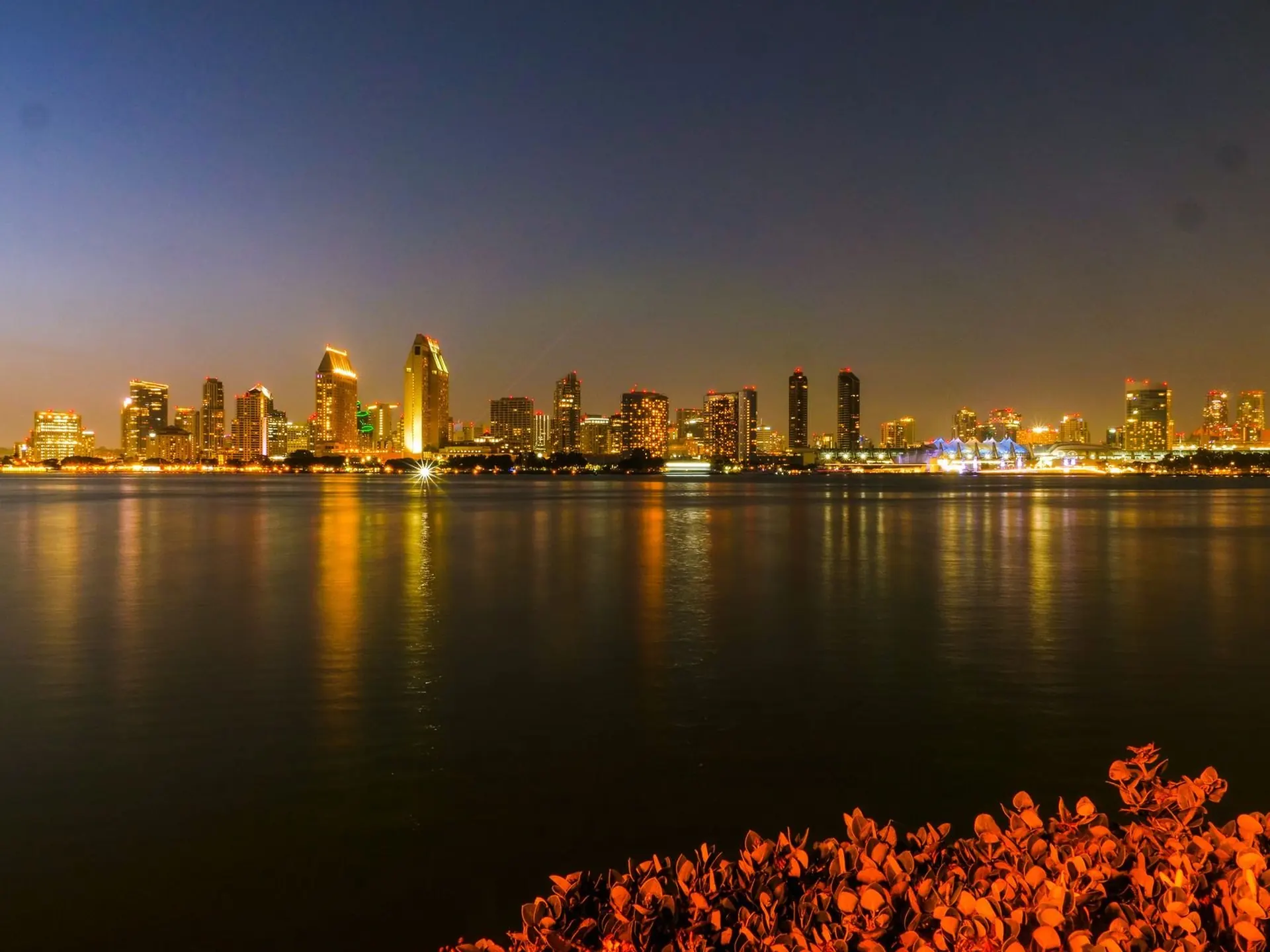 San Diego skyline at night
